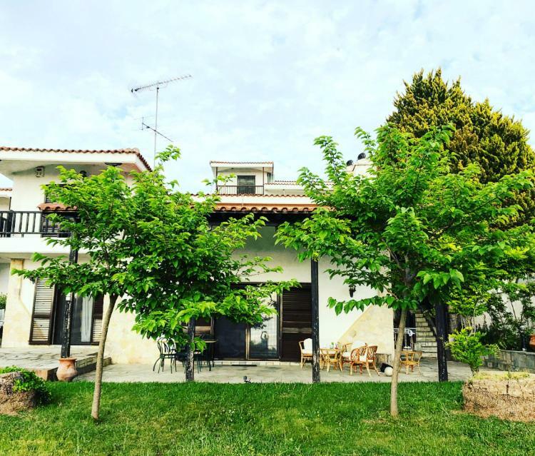 Bright & Spacious Seaview Villa Siviri Buitenkant foto