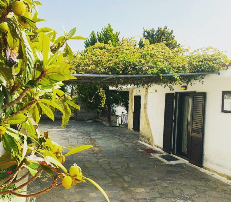 Bright & Spacious Seaview Villa Siviri Buitenkant foto