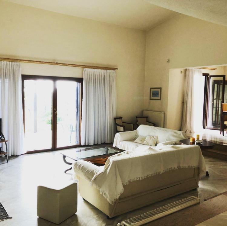 Bright & Spacious Seaview Villa Siviri Buitenkant foto